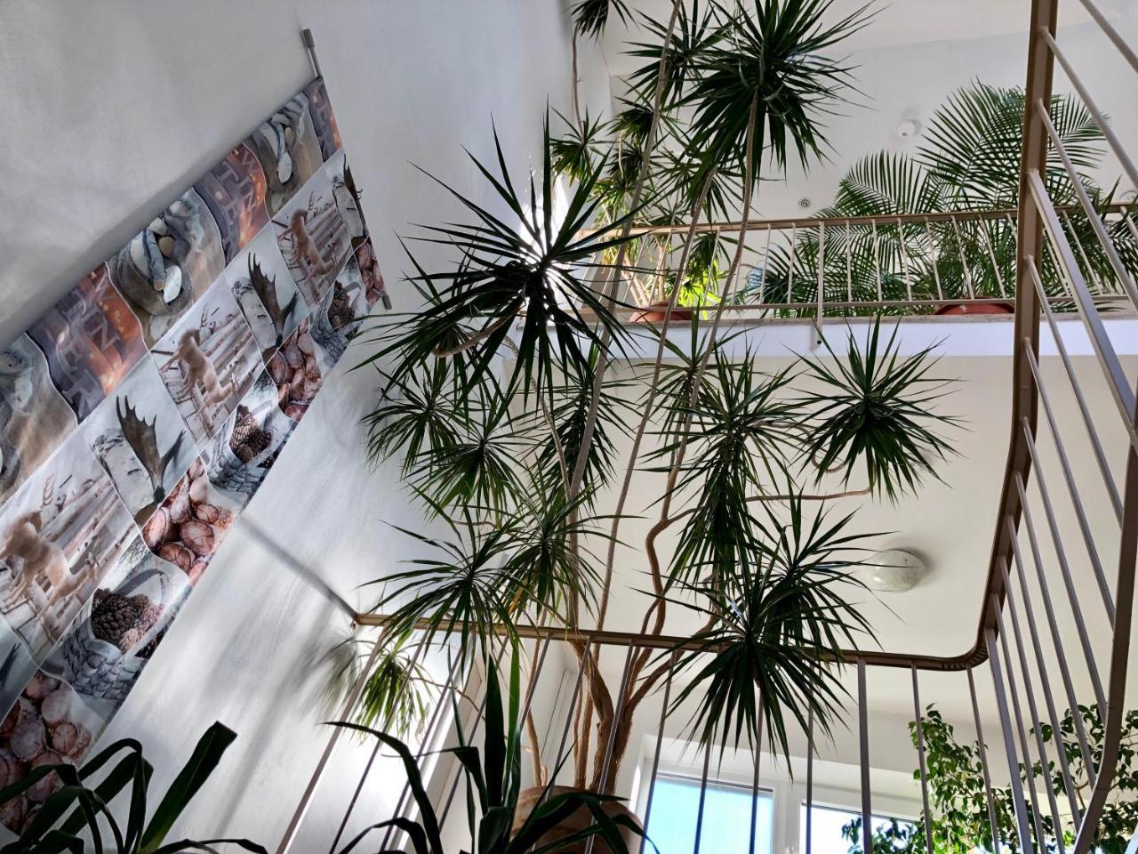 Hotel Hilgers Düren - Eifel 외부 사진